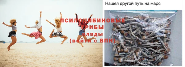 ГАЛЛЮЦИНОГЕННЫЕ ГРИБЫ Дмитриев