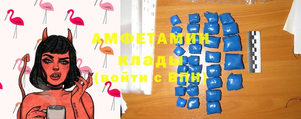 ГАЛЛЮЦИНОГЕННЫЕ ГРИБЫ Дмитриев