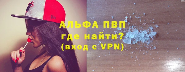 ГАЛЛЮЦИНОГЕННЫЕ ГРИБЫ Дмитриев