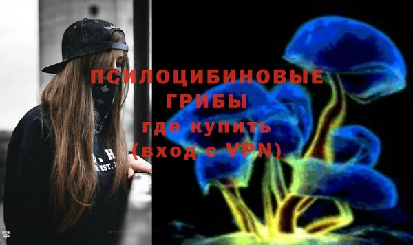 ГАЛЛЮЦИНОГЕННЫЕ ГРИБЫ Дмитриев