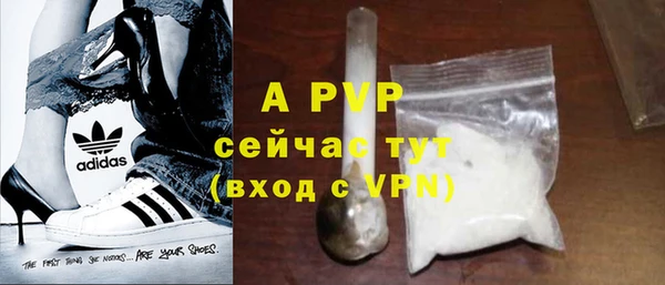 ECSTASY Дмитров