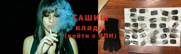 ГАЛЛЮЦИНОГЕННЫЕ ГРИБЫ Дмитриев