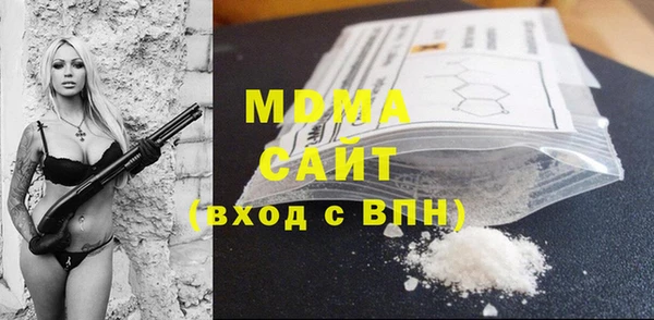 ГАЛЛЮЦИНОГЕННЫЕ ГРИБЫ Дмитриев