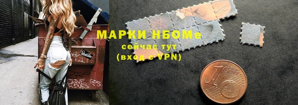 ГАЛЛЮЦИНОГЕННЫЕ ГРИБЫ Дмитриев
