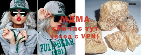 ГАЛЛЮЦИНОГЕННЫЕ ГРИБЫ Дмитриев