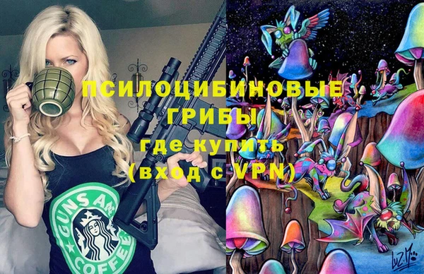 ECSTASY Дмитров