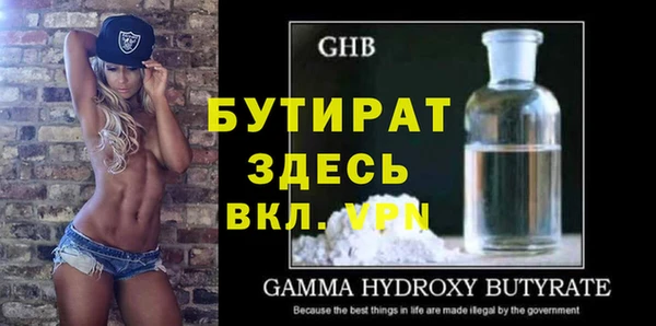 ГАЛЛЮЦИНОГЕННЫЕ ГРИБЫ Дмитриев